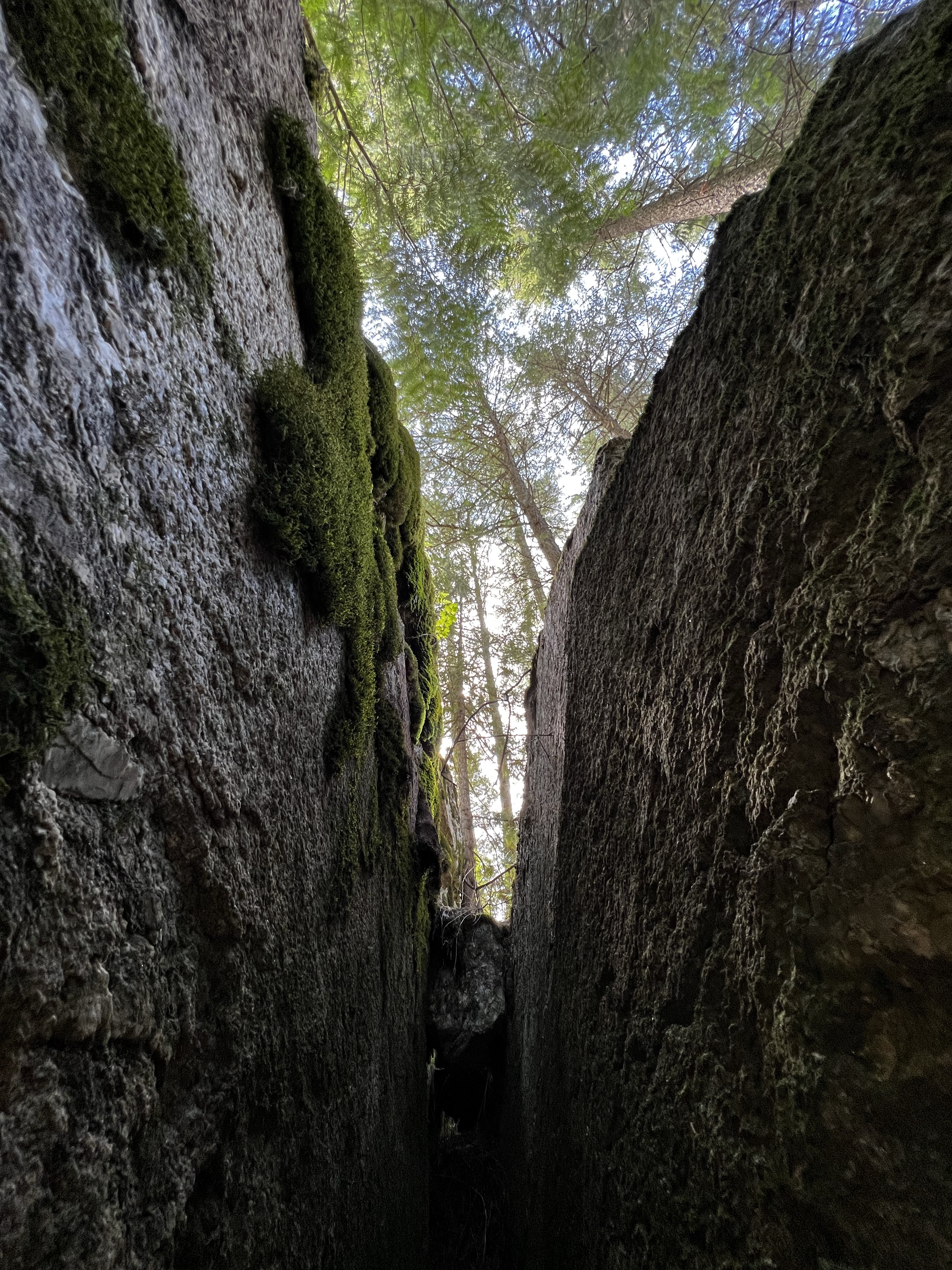 The Independent Sustainable Human